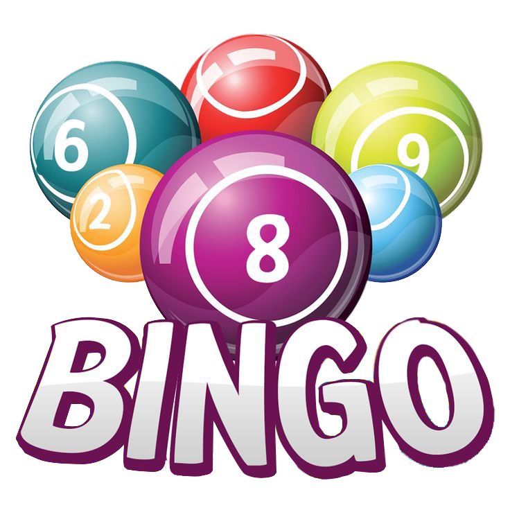 8 Dic 2024 –  Bingo